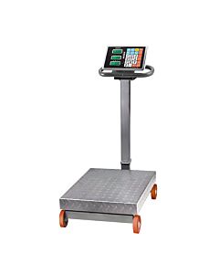 BORMANN DS6000 ΖΥΓΑΡΙΑ-ΠΛΑΣΤΙΓΓΑ 1000kg/500gr, (ΕΡΓΑΣΤΗΡΙΑΚΗ ΧΡΗΣΗ) 80x60cm