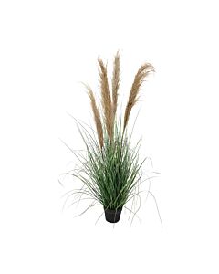 ΔΙΑΚΟΣΜΗΤΙΚΟ ΦΥΤΟ PAΜPAS GRASS ΣΕ ΓΛΑΣΤΡΑ 9571 ΜΠΕΖ ΧΡΩΜΑ 33x33x125cm