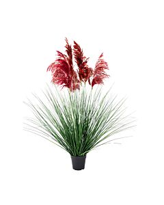 ΔΙΑΚΟΣΜΗΤΙΚΟ ΦΥΤΟ PAMPAS GRASS ΣΕ ΓΛΑΣΤΡΑ 9008 ΚΟΚΚΙΝΟ ΧΡΩΜΑ 70x70x110cm