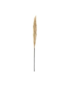 ΔΙΑΚΟΣΜΗΤΙΚΟ ΛΟΥΛΟΥΔΙ PAMPAS GRASS 9573 ΜΠΕΖ ΧΡΩΜΑ 9x9x120cm