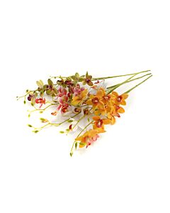 ΛΟΥΛΟΥΔΙ ORCHID 1/4 ΛΕΥΚΟ-ΚΙΤΡΙΝΟ-ΠΡΑΣΙΝΟ-ΡΟΖ