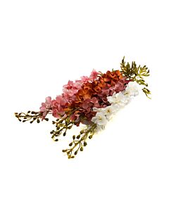 ΛΟΥΛΟΥΔΙ DELPHINIUM 1/4 ΛΕΥΚΟ-ΚΑΦΕ-ΠΟΡΤΟΚΑΛΙ-ΡΟΖ 153cm