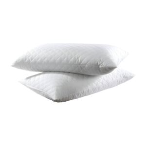 ΣΕΤ 2 ΤΜΧ ΑΔΙΑΒΡΟΧΕΣ ΠΡΟΣΤΑΤΕΥΤΙΚΕΣ ΜΑΞΙΛΑΡΟΘΗΚΕΣ ΚΑΠΙΤΟΝΕ 50x70εκ.ANKOR 1